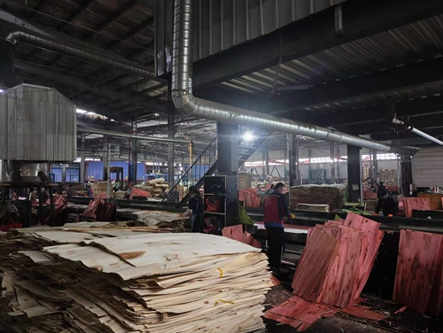 酒泉_建筑模板鋪裝流水線