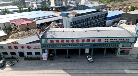 酒泉_源林木業(yè)建筑木方加工車間